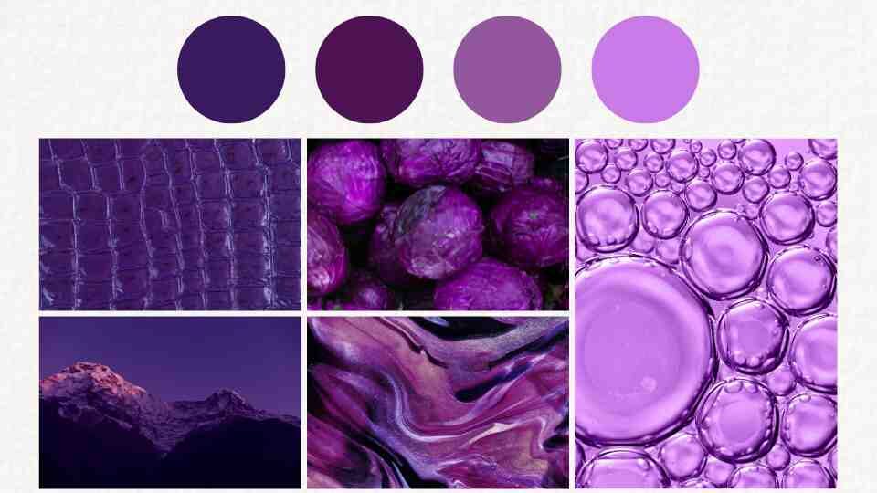 COLOR PALETTE