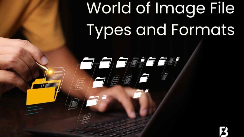 Exploring the World of Image File Types and Formats